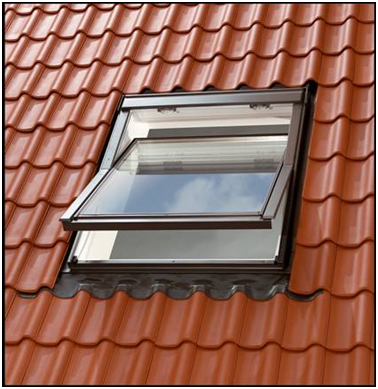 Новый рисунок (1)