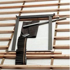 Новый рисунок