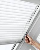 Новый рисунок